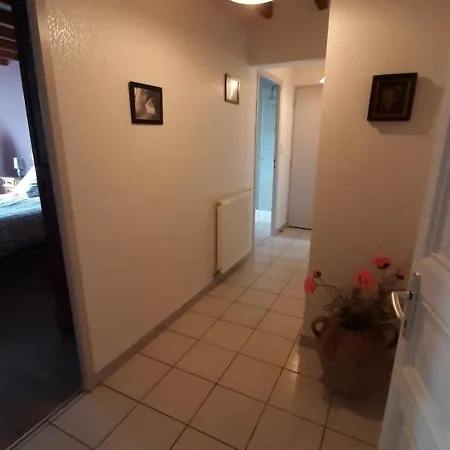 Xviiie Renove Avec Grand Jardin, Au Coeur Du Vignoble De Cognac - Fr-1-653-30