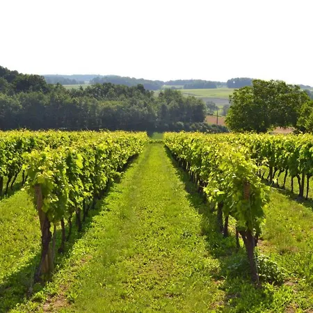 Dom wakacyjny Xviiie Renove Avec Grand Jardin, Au Coeur Du Vignoble De Cognac - Fr-1-653-30
