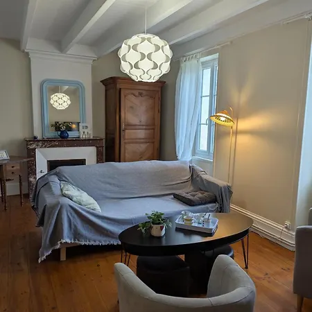 Landhuis Xviiie Renove Avec Grand Jardin, Au Coeur Du Vignoble De Cognac - Fr-1-653-30
