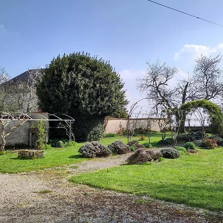 Xviiie Renove Avec Grand Jardin, Au Coeur Du Vignoble De Cognac - Fr-1-653-30