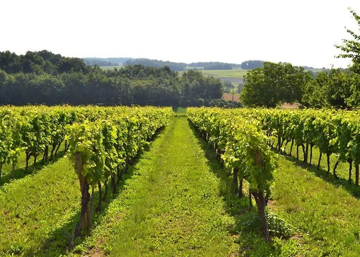 Hébergement de vacances De Charme 2 Au Cœur Du Vignoble - Fr-1-653-30 Lignieres-Ambleville